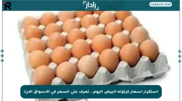 استقرار أسعار كرتونة البيض اليوم.. تعرف على السعر في الأسواق الآن!